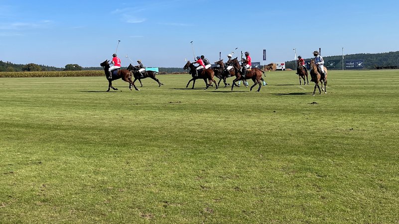 Reiterinnen und Reiter jagen auf ihren Pferden einem Ball hinterher | Bild: BR/Thomas Pösl Reiterinnen und Reiter jagen auf ihren Pferden einem Ball hinterher