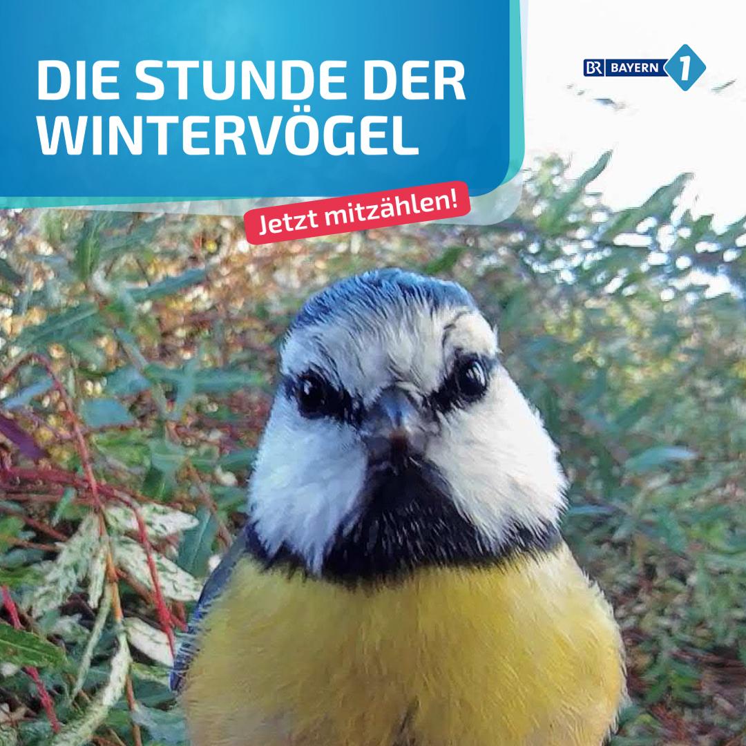 Mit dem Aufruf "Jetzt mitzählen"