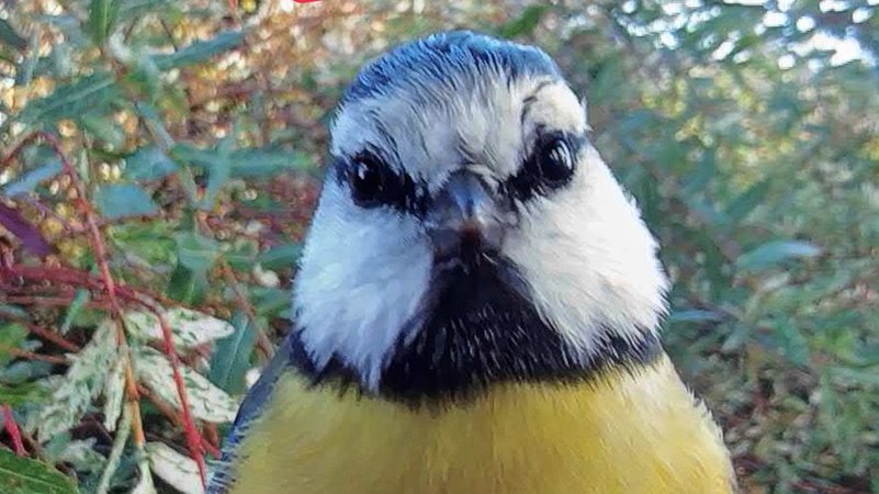 Mit dem Aufruf "Jetzt mitzählen" | Bild: BR/Andreas Weindl Mit dem Aufruf "Jetzt mitzählen"