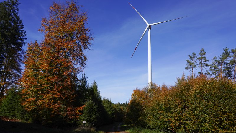 Windrad in einem Wald in Schwaben (Symbol- und Archivbild) | Bild: Bernd Nitsche /BR Windrad in einem Wald in Schwaben (Symbol- und Archivbild)