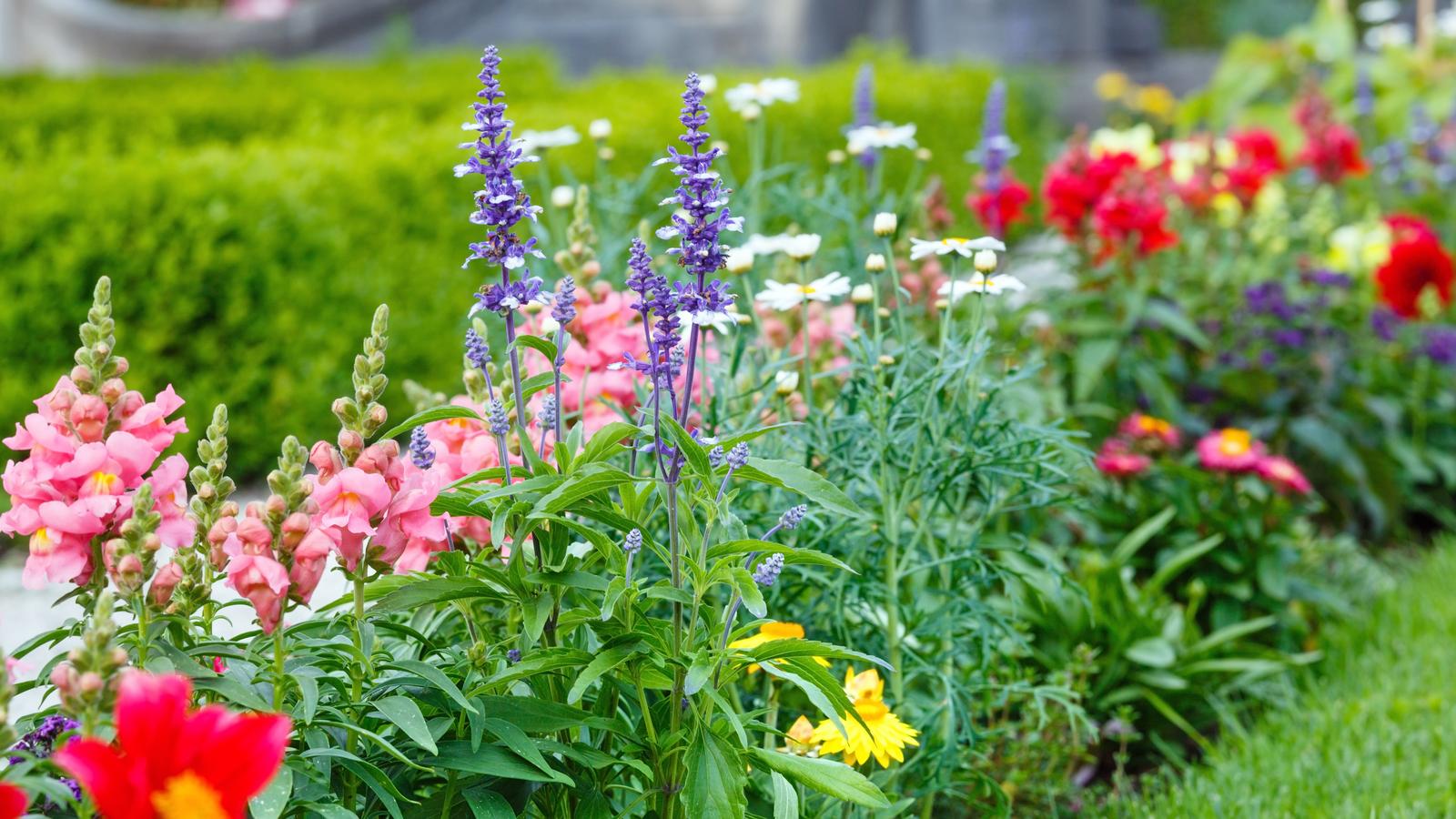  Geteilte Meinung in Schweinfurt über Landesgartenschau 2026 