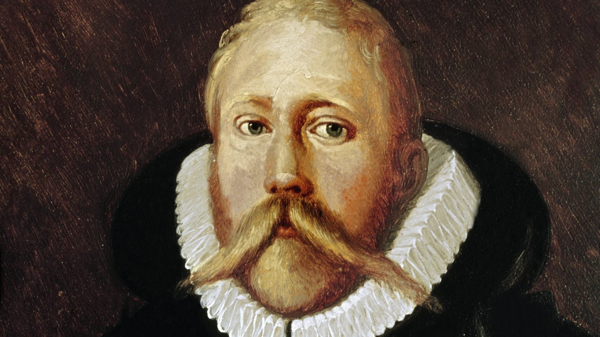 Portrait von Tycho Brahe