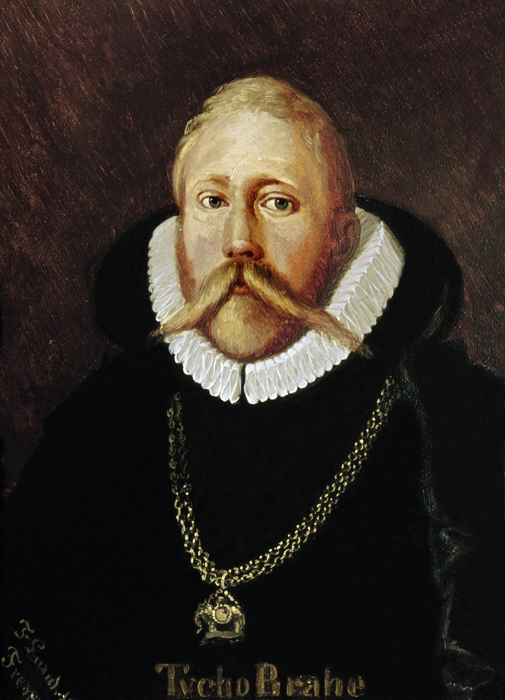 Portrait von Tycho Brahe