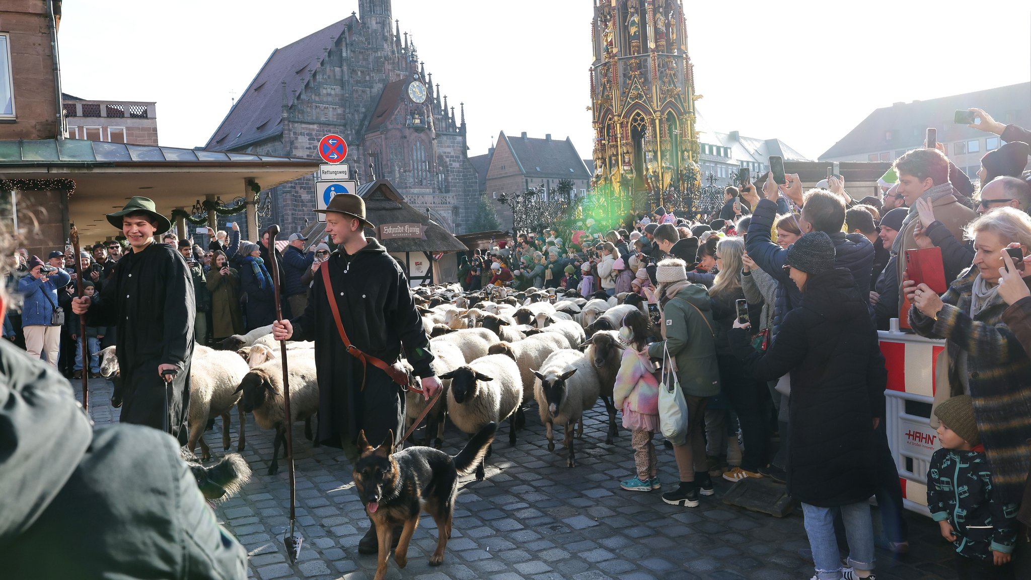 Tim Gackstatter (l) und Dirk Gissel (r) führen Schafe an der Frauenkirche und dem Hauptmarkt in der Nürnberger Innenstadt vorbei zu den Winterweiden.