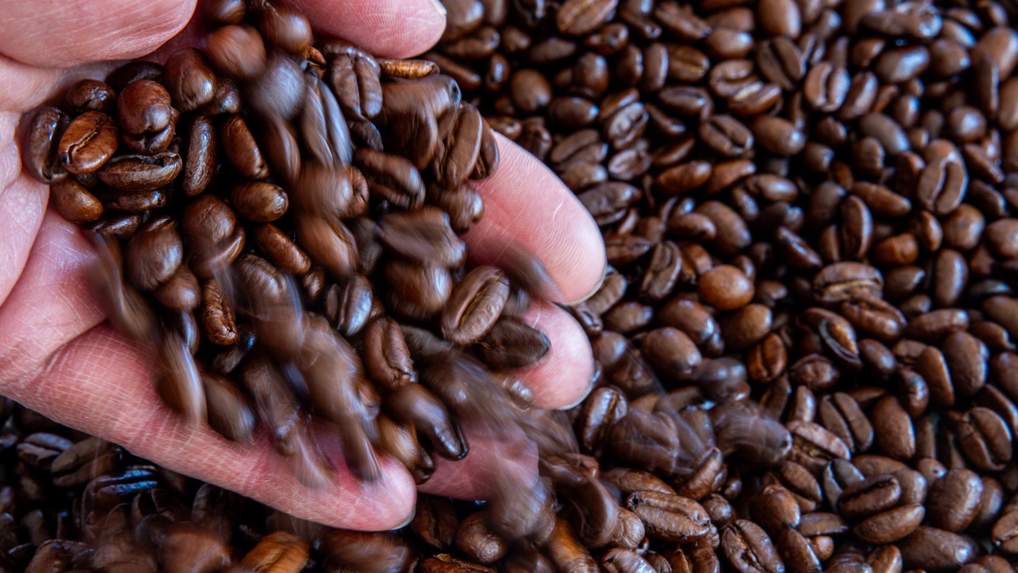 Symbolbild: Kaffeebohnen | Bild: picture alliance/dpa | Jens Büttner Symbolbild: Kaffeebohnen