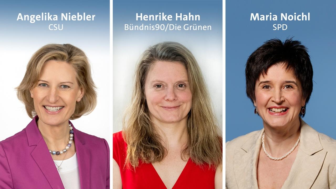 Niebler, Hahn, Noichl | Bild: dpa-Bildfunk Niebler, Hahn, Noichl
