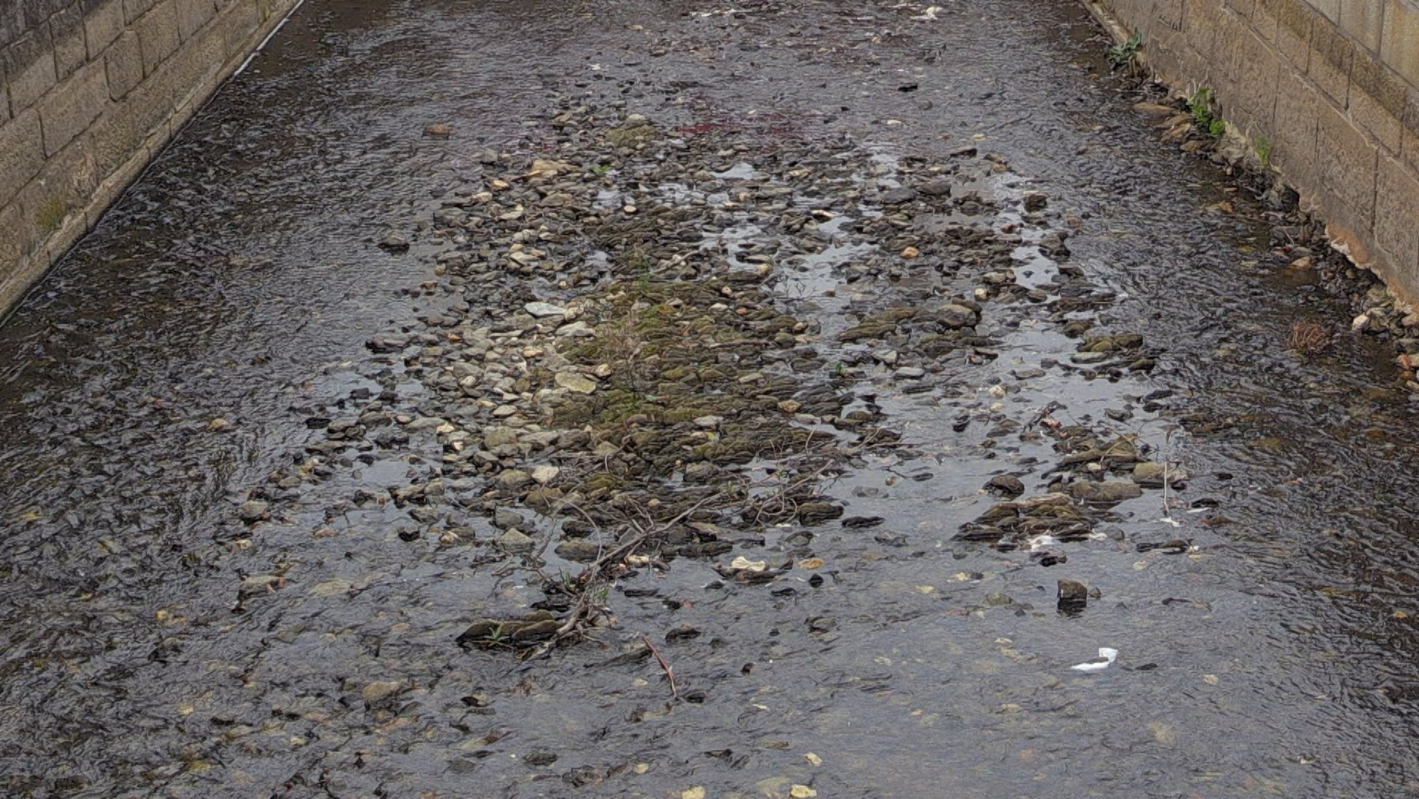 Flüsse mit Niedrigwasser: Fichtelgebirge auf dem Trockenen?