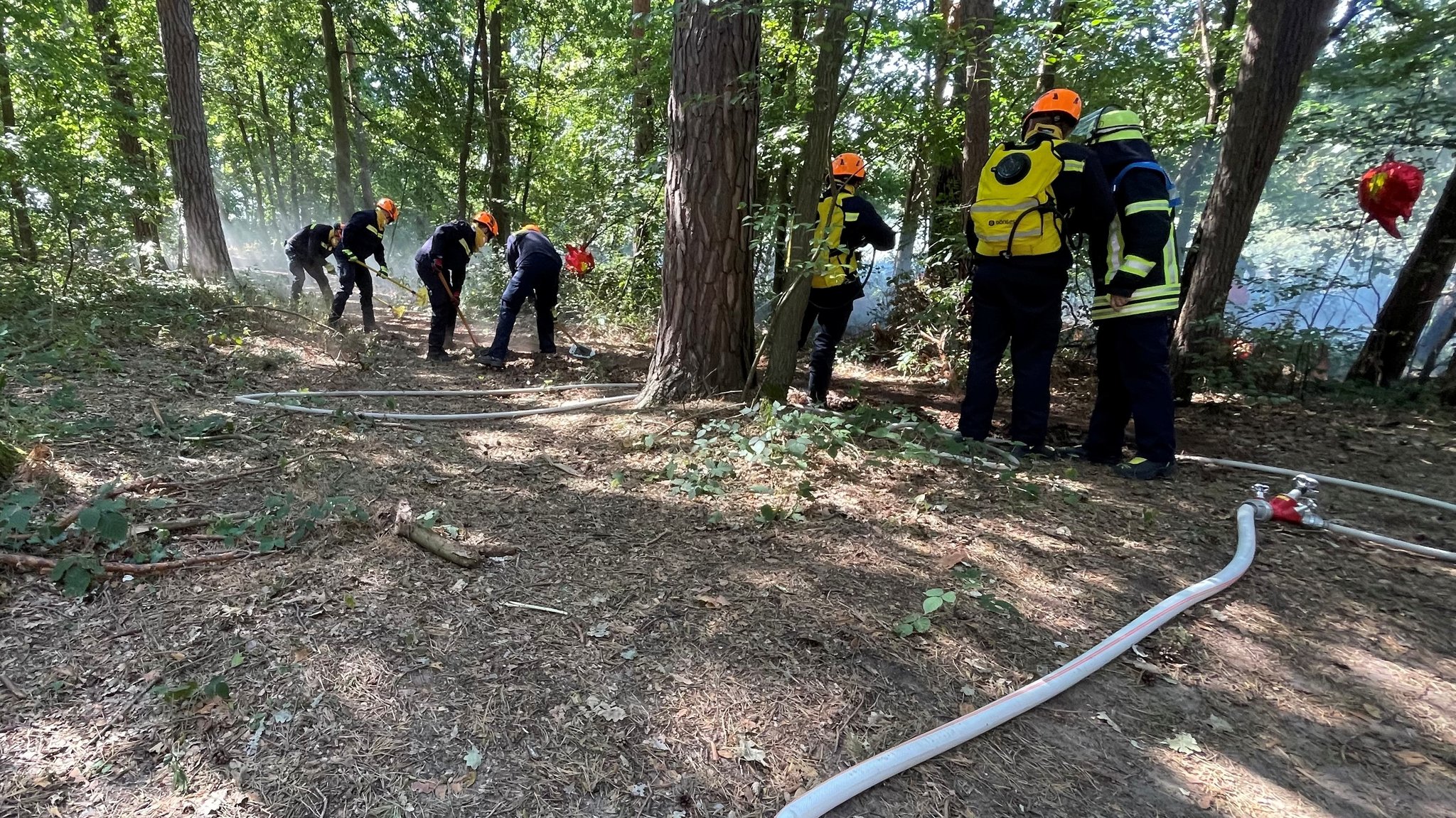 Feuerwehr-Einsatzkräfte löschen einen simulierten beginnenden Waldbrand. | Bild: Frank Strerath/ BR Feuerwehr-Einsatzkräfte löschen einen simulierten beginnenden Waldbrand.