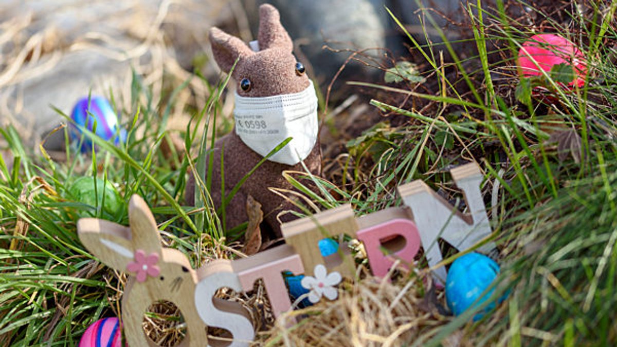 Ein Stoff-Hase mit FFP2-Maske steht im Garten. 
