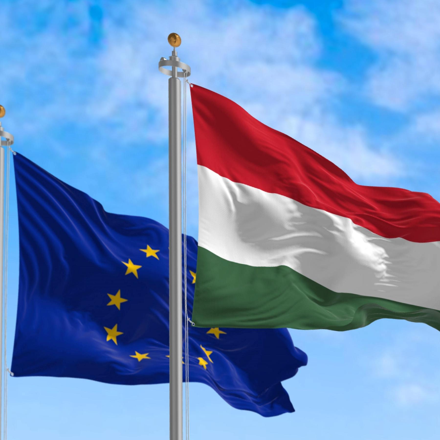 EU-Länder nach der Europawahl - Silke Hahne, ARD-Korrespondentin in Ungarn