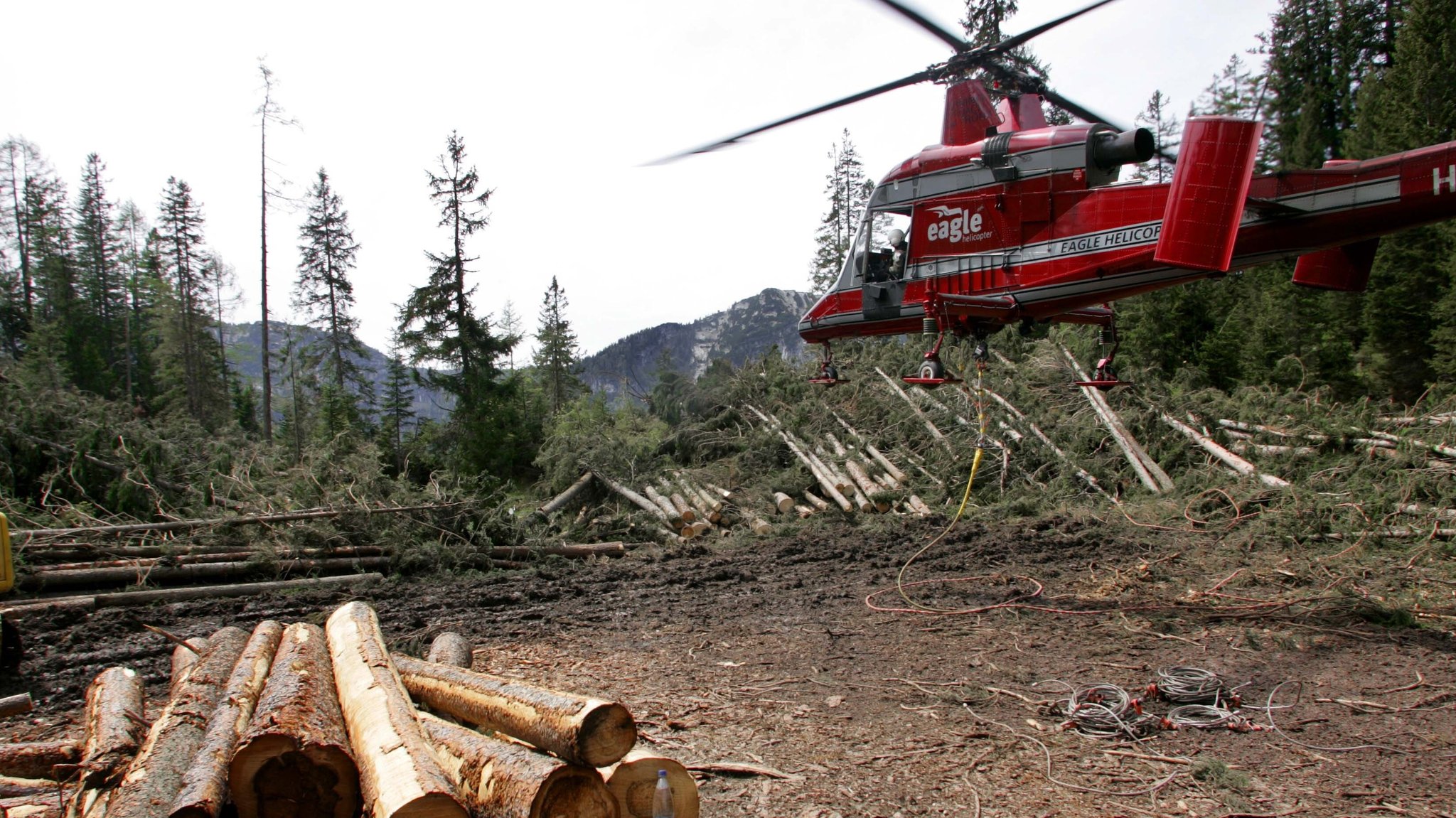 Mit dem Hubschrauber gegen den Borkenkäfer