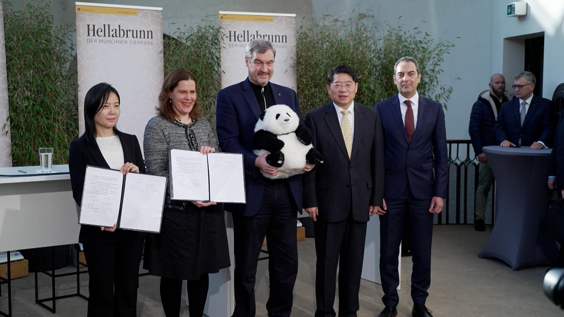 Die Tiere kommen als Leihgabe der Volksrepublik China. Spätestens 2028 sollen sie einziehen, sagte Ministerpräsident Söder.