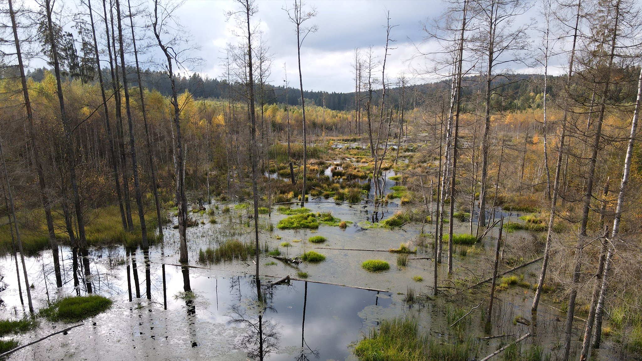 Projekt Urwald: Das umkämpfte Paradies - Folge 5: Große Erfolge, unsicher Zukunft