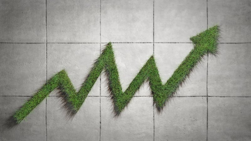 Nachhaltige ETFs: Wie grün sind sie wirklich? | Bild: picture alliance/Zoonar/DesignIt Nachhaltige ETFs: Wie grün sind sie wirklich?