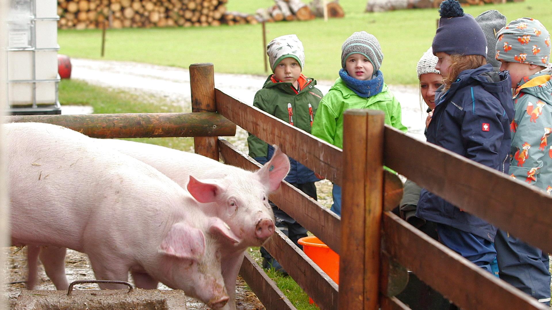 Für ein gutes Image : Kindergartenkinder am Bauernhof