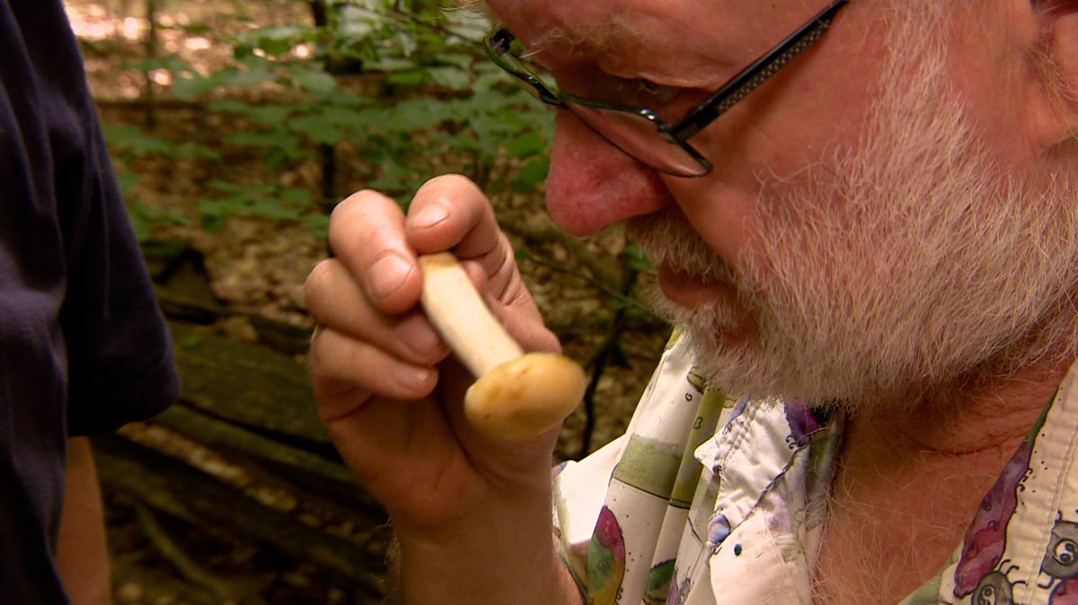 Pilz-Experte Rudi Makrones riecht an einem Pilz.