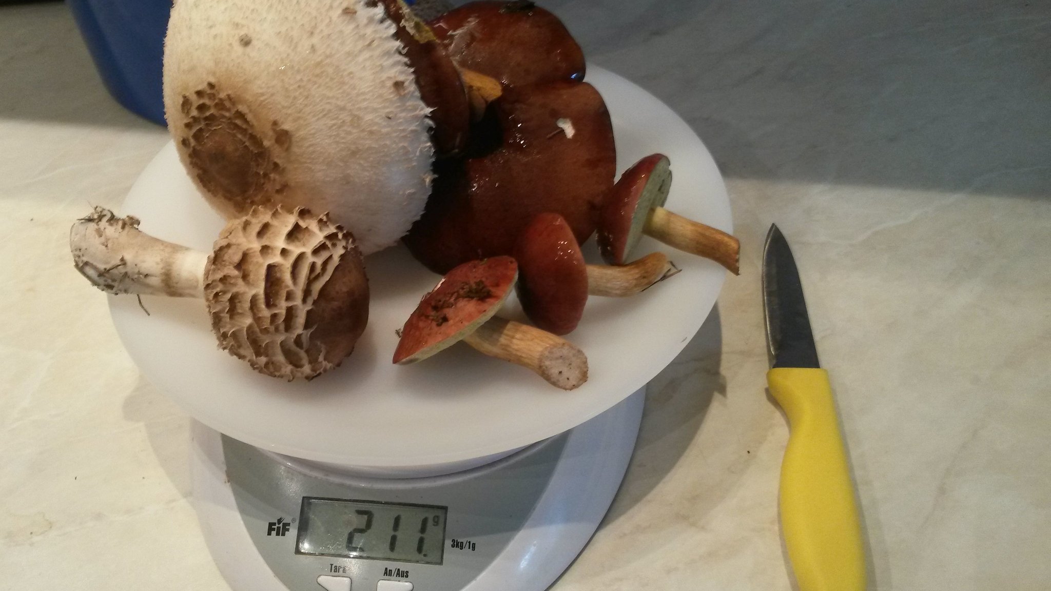 Abwiegen von Pilzen in der Küche | Bild: BR / Christine Langlechner Abwiegen von Pilzen in der Küche