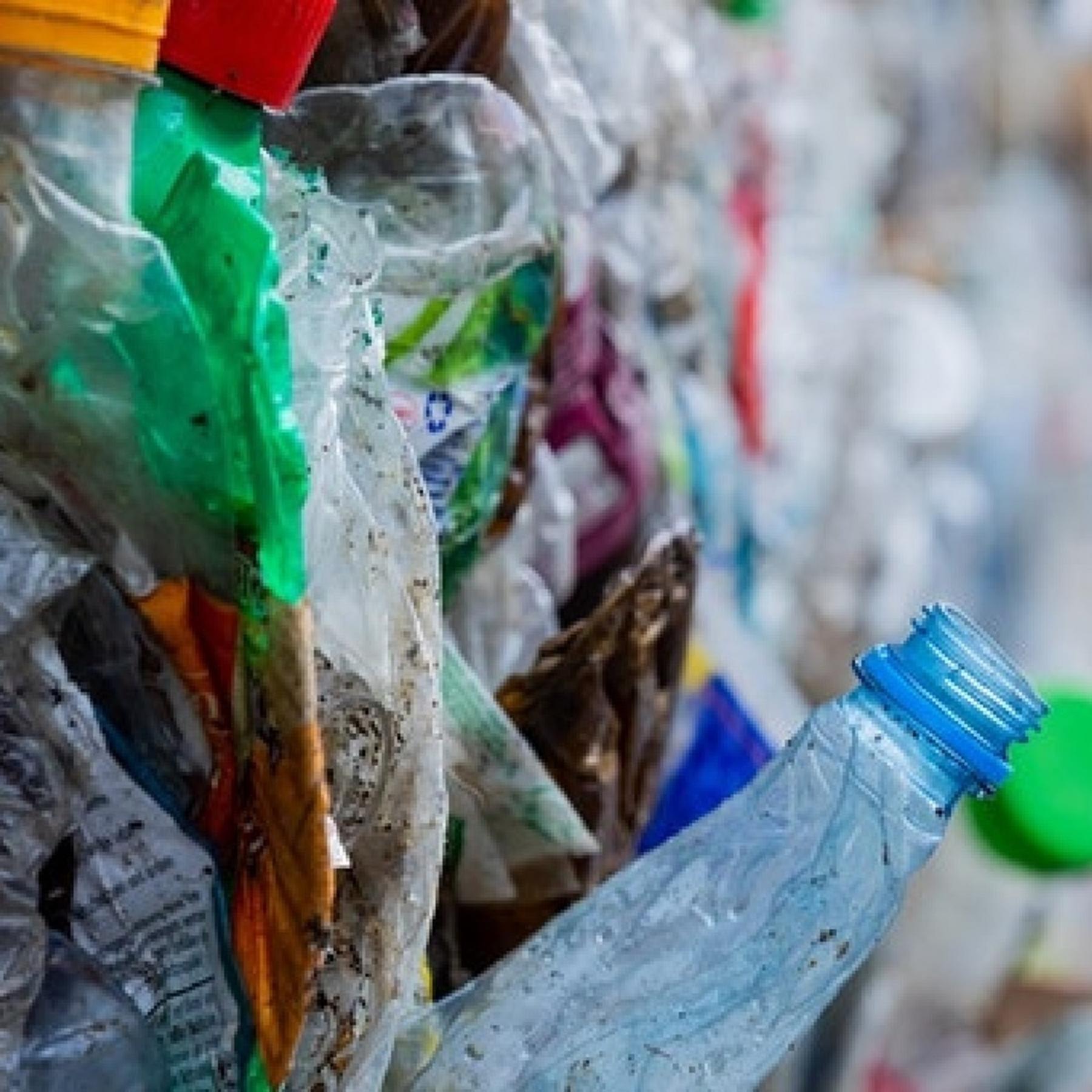 Kunststofffresser - Können Bakterien unser Plastikmüll-Problem lösen?