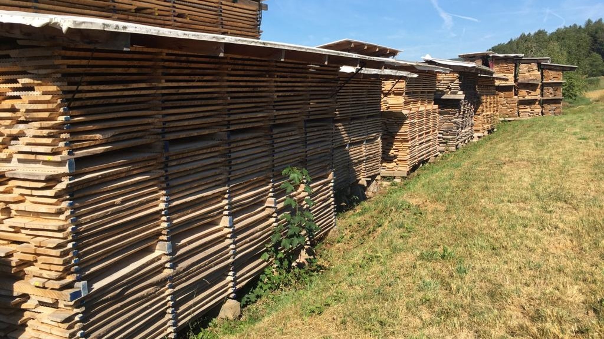 Mehrere abgedeckte Holzstapel auf einer Wiese.