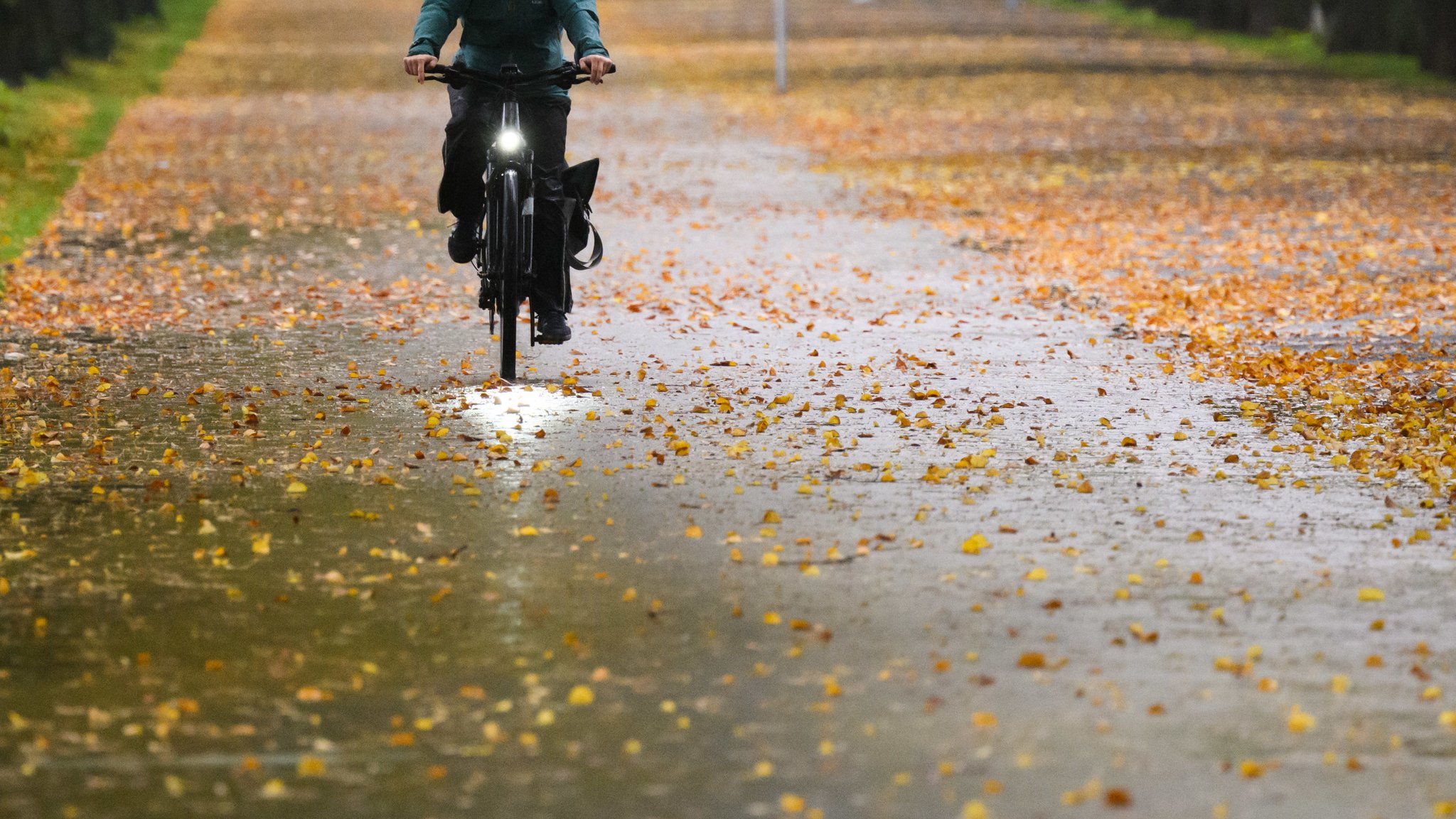 Jemand fährt mit dem Fahrrad über eine Straße mit Laub