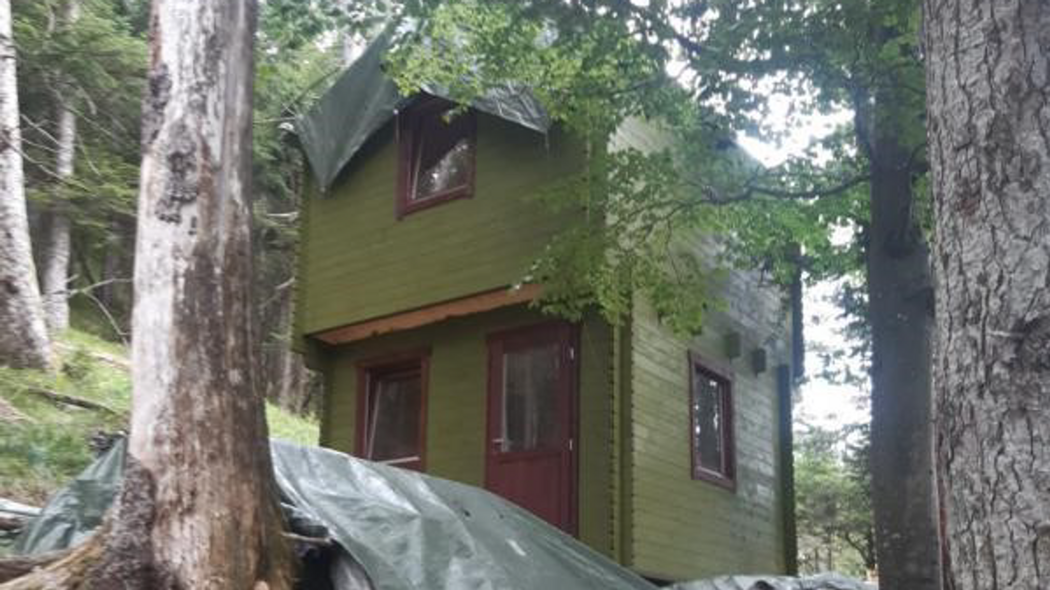 Illegale Prepper-Hütte im Wald entdeckt – Polizei ermittelt