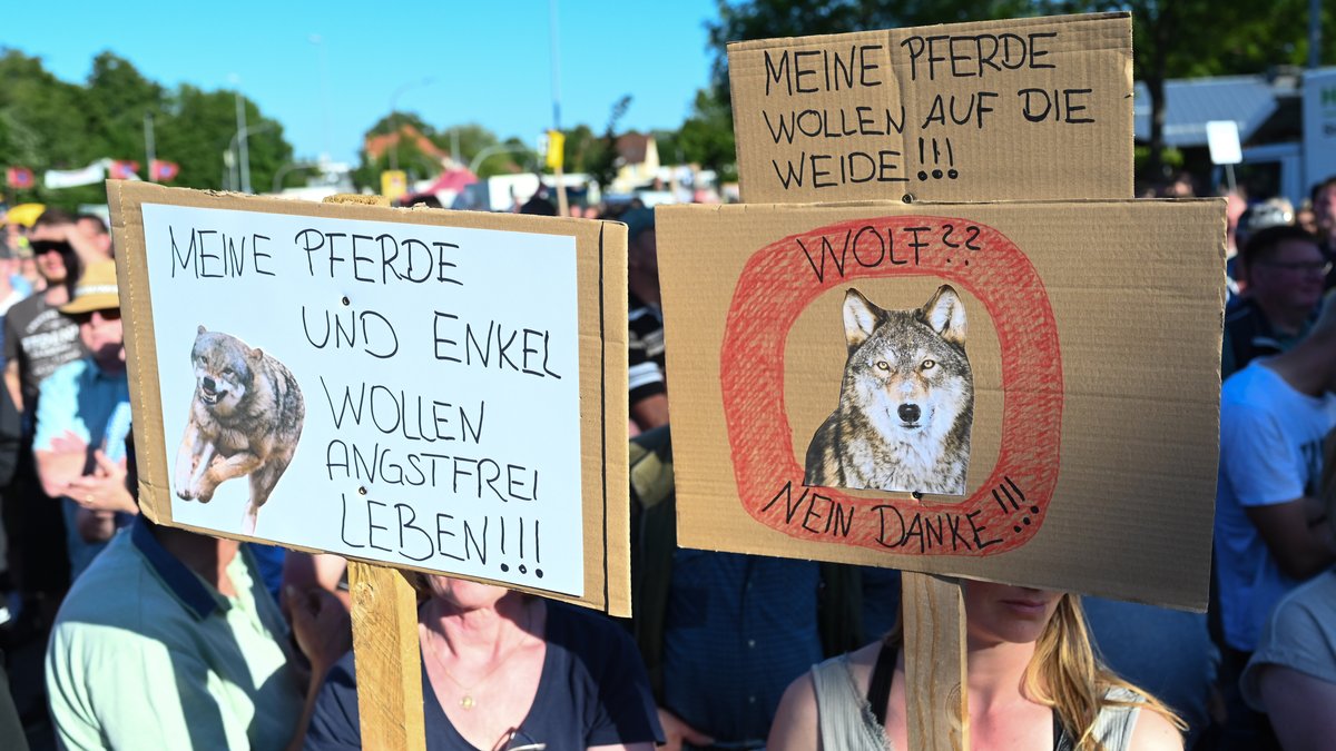 10.06.2023, Aurich, Niedersachsen:Teilnehmer der Veranstaltung halten Schilder mit Anti-Wolf-Botschaften hoch. Die Verbände Land schafft Verbindung (LsV) Ostfriesland und der Friesische Verband für Naturschutz (FVN) haben zu einer Demonstration gegen die aktuelle Wolfspolitik aufgerufen.