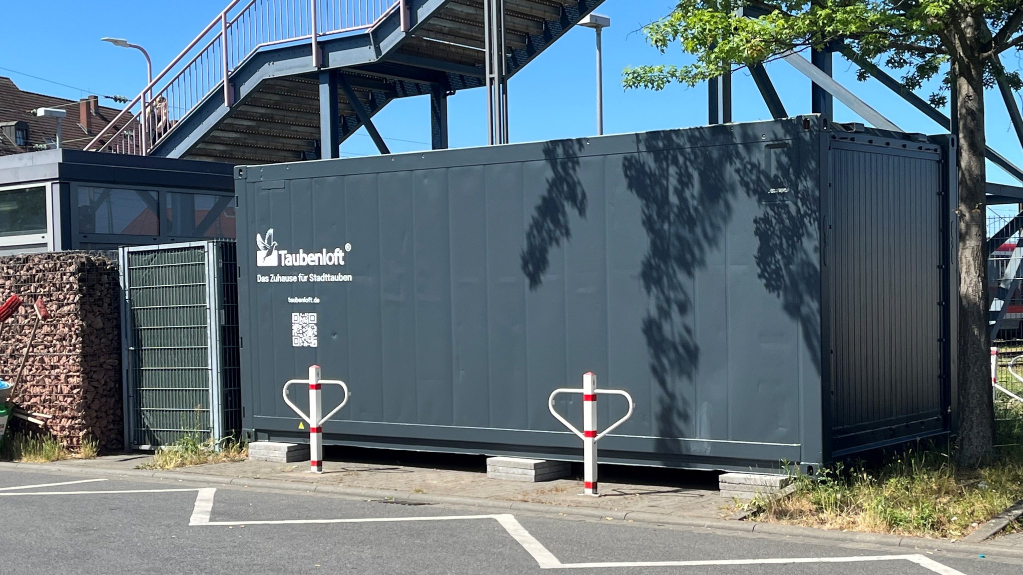 Das neue Taubenloft am Regionalen Omnibusbahnhof in Aschaffenburg | Bild: BR / Barbara Ecke Das neue Taubenloft am Regionalen Omnibusbahnhof in Aschaffenburg