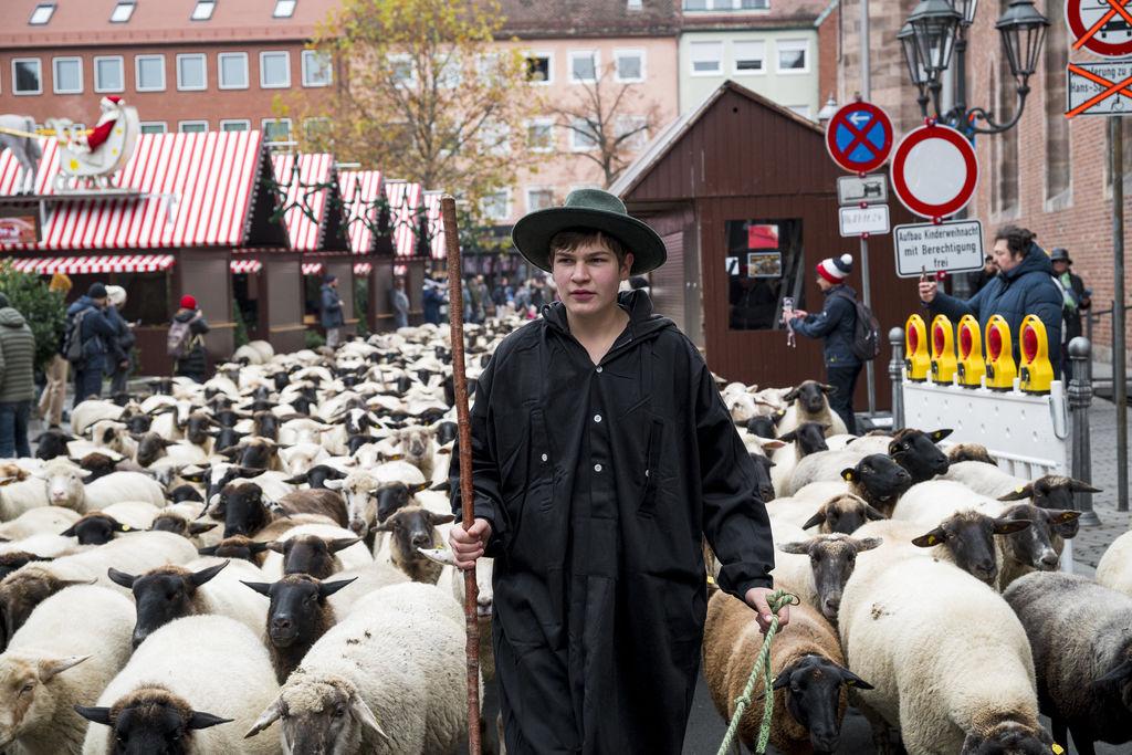 Hunderte Schafe ziehen durch Nürnberg