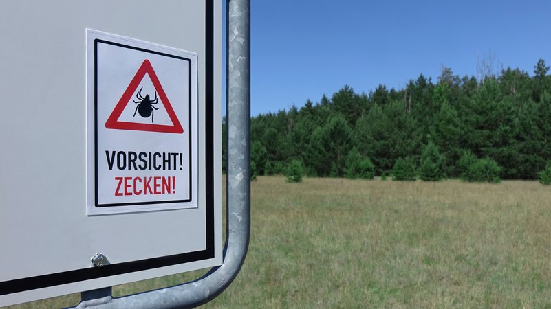 Ein Warnschild vor einer Wiese: "Vorsicht Zecken" | Bild: picture alliance / ZB | Sascha Steinach Ein Warnschild vor einer Wiese: "Vorsicht Zecken"