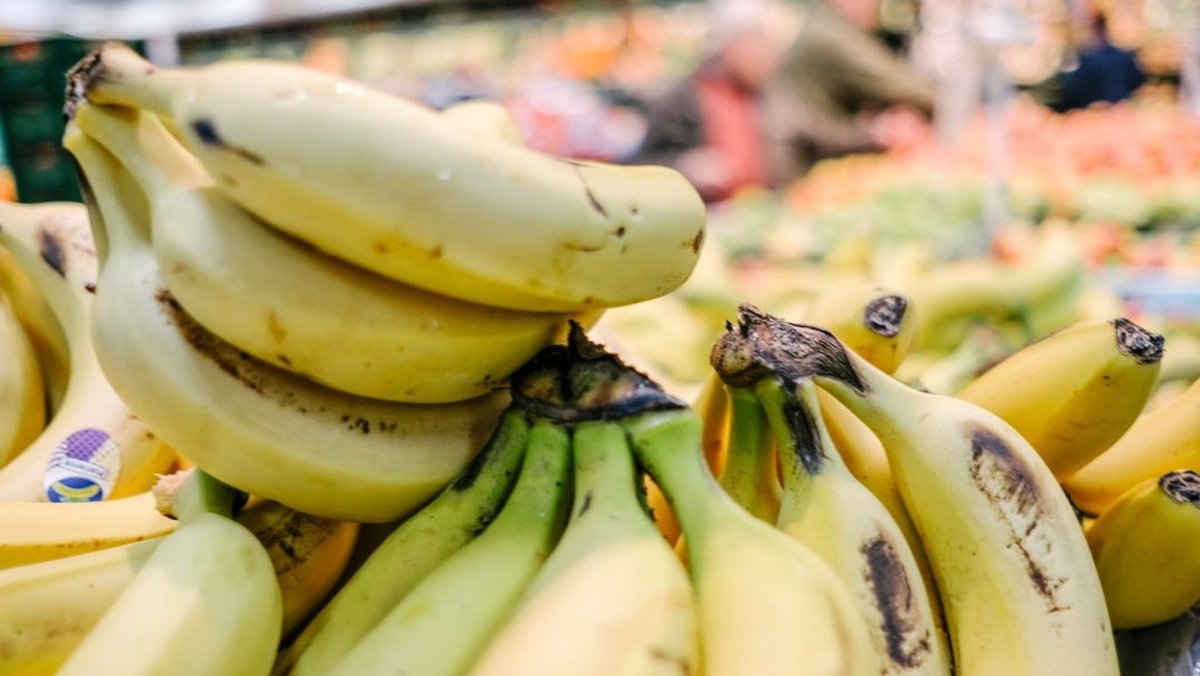 Bananen in einem Supermarkt (Symbolbild)
