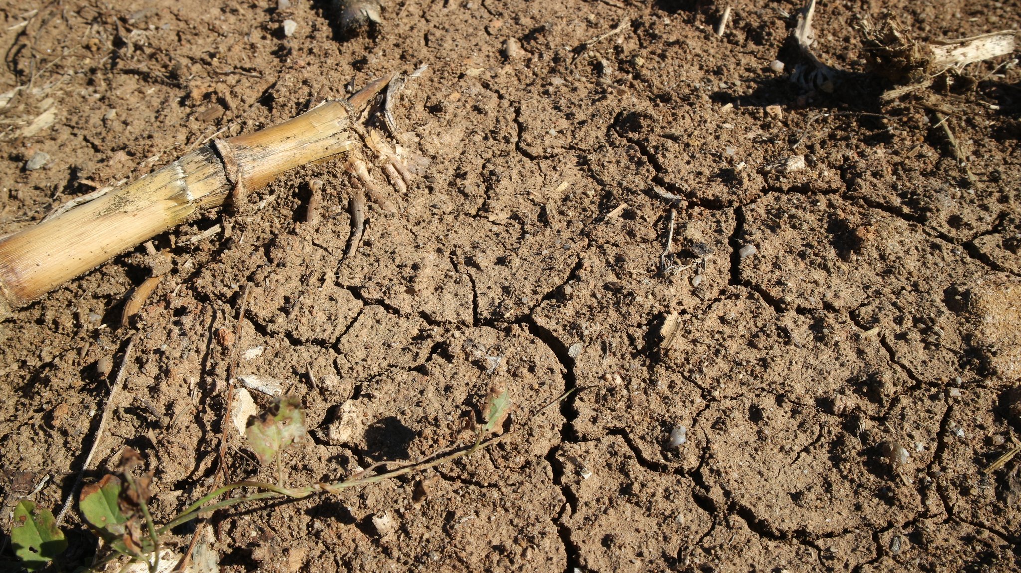 Kontinente trocknen aus. Betroffen sind 101 Länder, also 75 Prozent der Weltbevölkerung. | Bild: Jan Kerckhoff, BR Kontinente trocknen aus. Betroffen sind 101 Länder, also 75 Prozent der Weltbevölkerung.