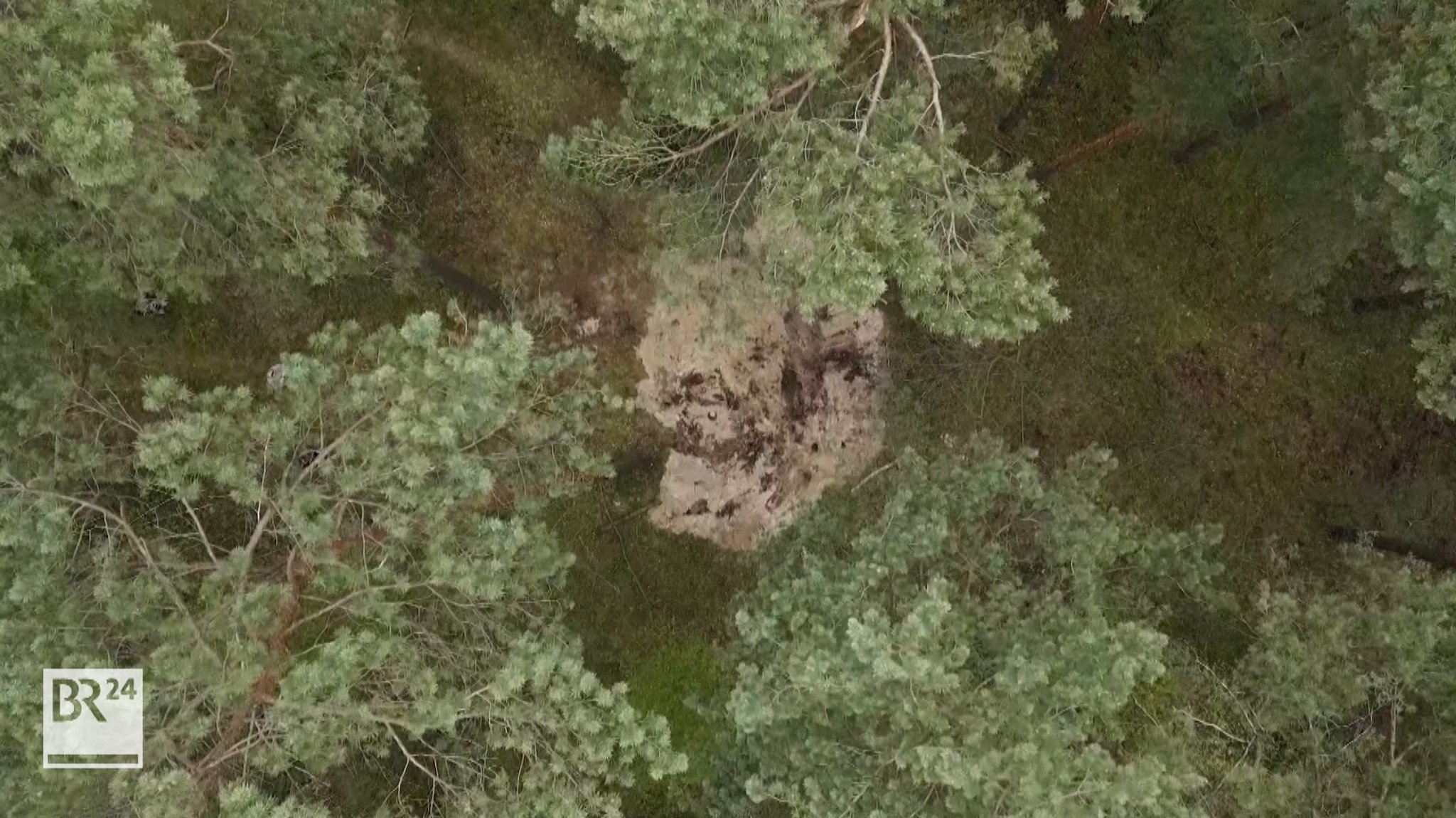 Raketentrümmer im Wald entdeckt