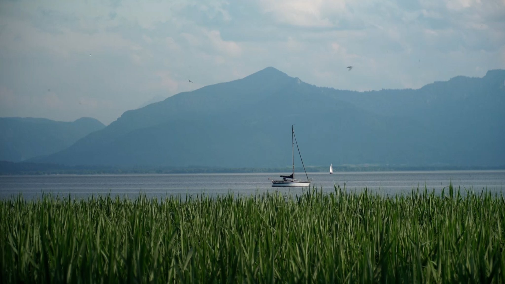 Ein Segelboot auf dem Chiemsee am Ufer von Seebruck. 