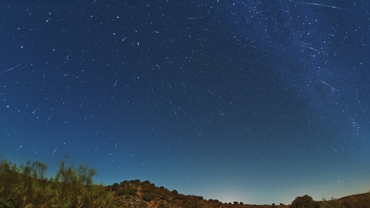 Sternschnuppen flitzen über den Sternenhimmel. Bei diesem Foto der Draconiden ist zu sehen, dass die Sternschnuppen eines Meteorstroms alle von einem Ausgangspunkt her über den Himmel zu ziehen scheinen, dem sogenannten Radianten (hier links oben).