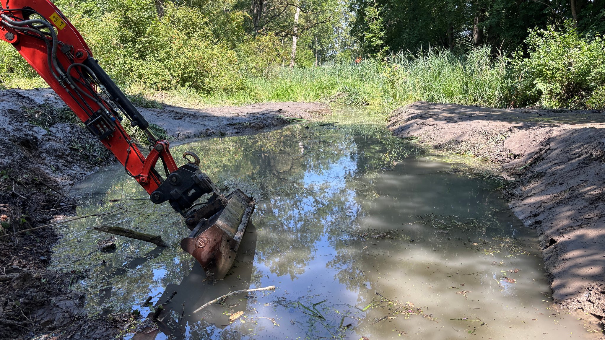 Ein Bagger gräbt in einem Nebengewässer der Donau bei Gundelfingen eine Grundwasserquelle frei | Bild: Bayerischer Rundfunk 2026 / Judith Zacher Ein Bagger gräbt in einem Nebengewässer der Donau bei Gundelfingen eine Grundwasserquelle frei