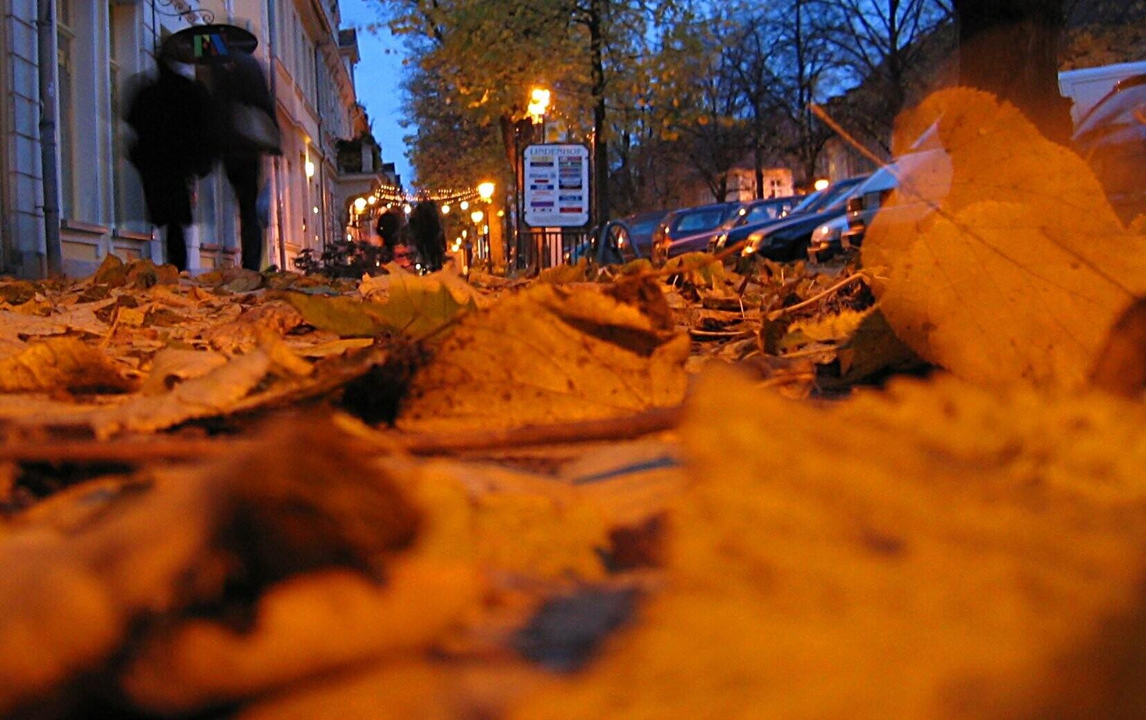 Herbstlaub liegt auf einem Gehweg, auf dem Passanten mit Regenschirmen in der Dämmerung gehen.