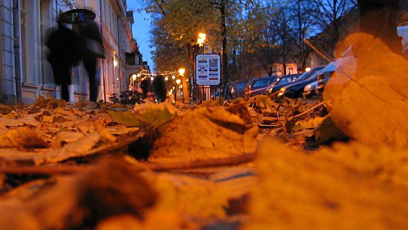 Herbstlaub liegt auf einem Gehweg, auf dem Passanten mit Regenschirmen in der Dämmerung gehen. | Bild: pa/ZB | Ralf Hirschberger Herbstlaub liegt auf einem Gehweg, auf dem Passanten mit Regenschirmen in der Dämmerung gehen.