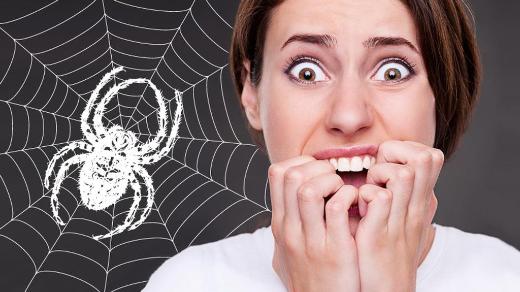 Kreischende Frau, dahinter illustriertes Spinnennetz und Spinne