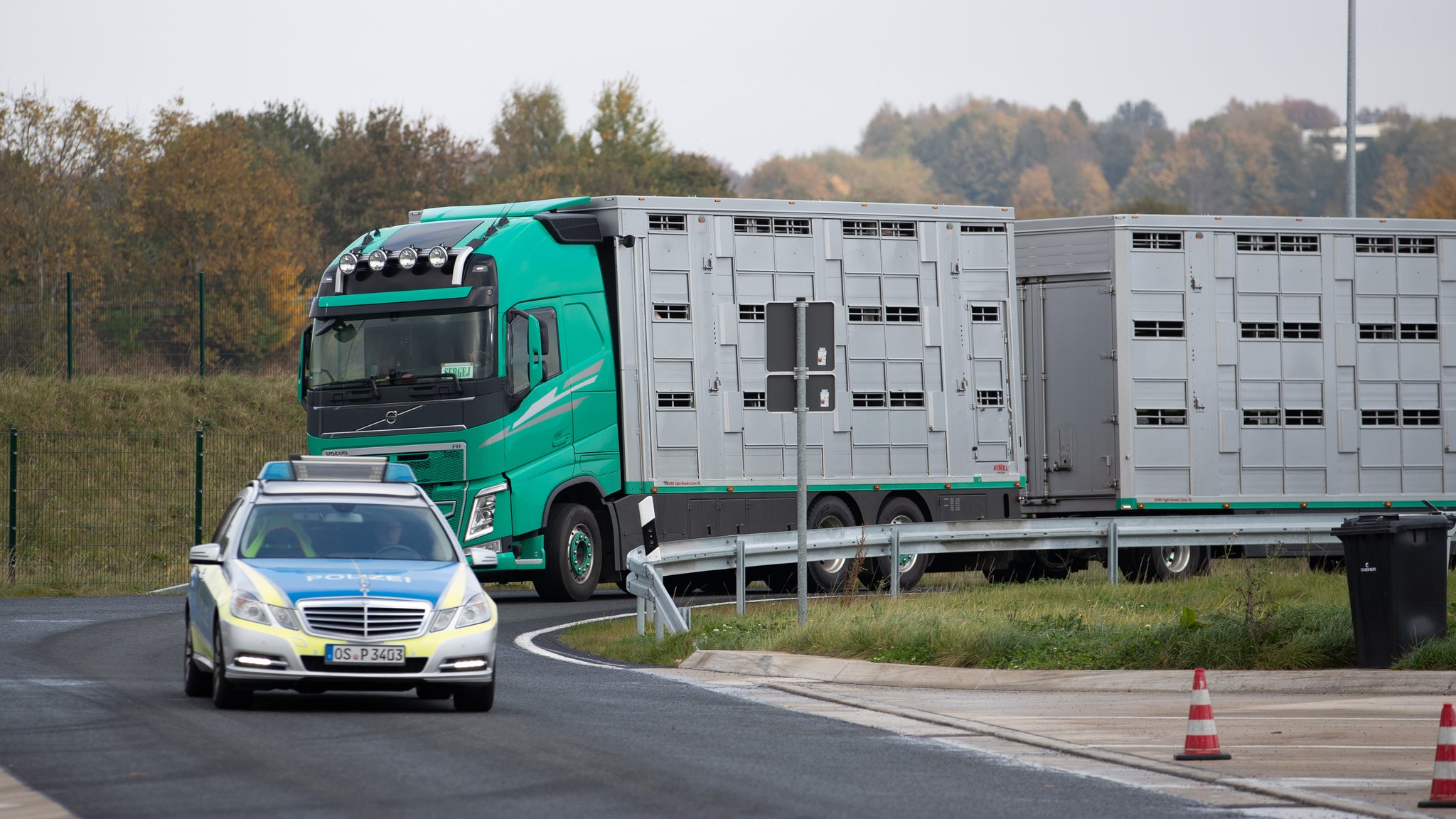 Nach Unfall von Tiertransporter - Mehrere Schweine getötet