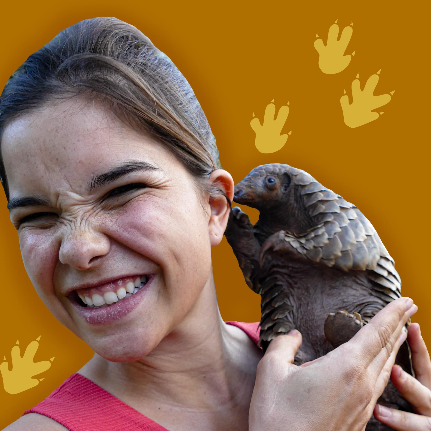 Tannenzapfentiere – Die einzigen Säugetiere mit Schuppen