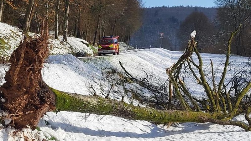 Umgestürzter Baum vor Straße mit Feuerwehrauto