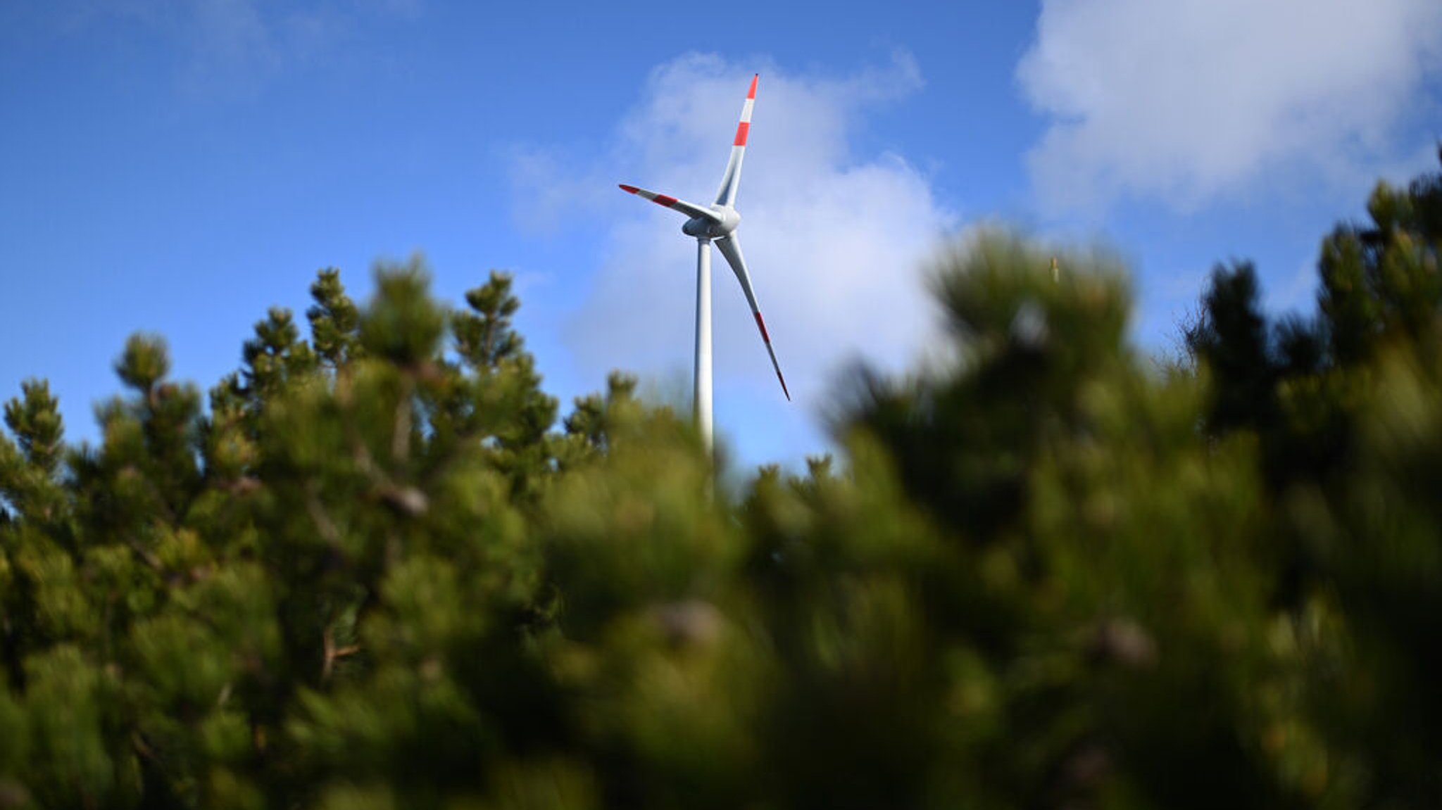 Staatsforsten planen mehr Windräder im Staatswald 