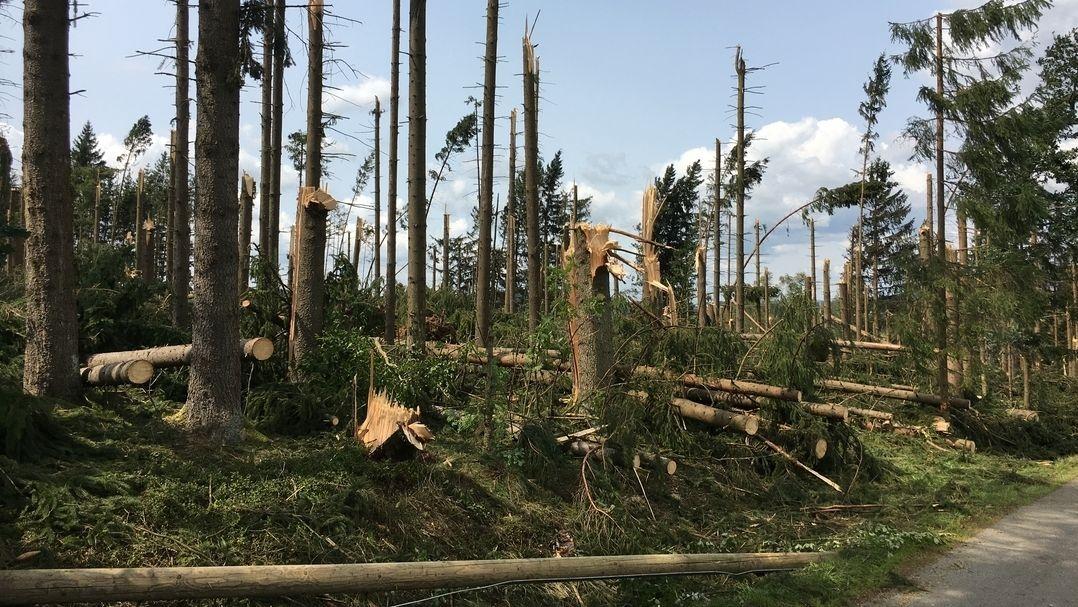 Waldschaden im Landkreis Freyung-Grafenau nach dem schweren Unwetter 2017.