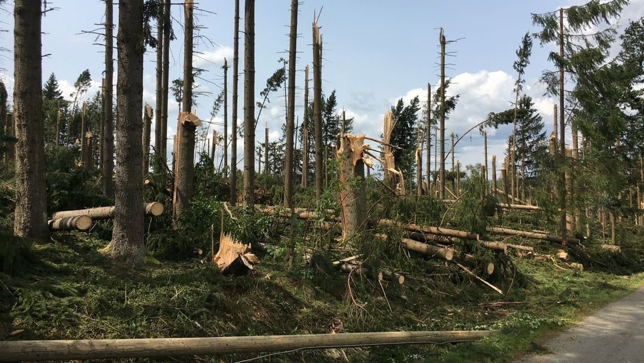 Waldschaden im Landkreis Freyung-Grafenau nach dem schweren Unwetter 2017.