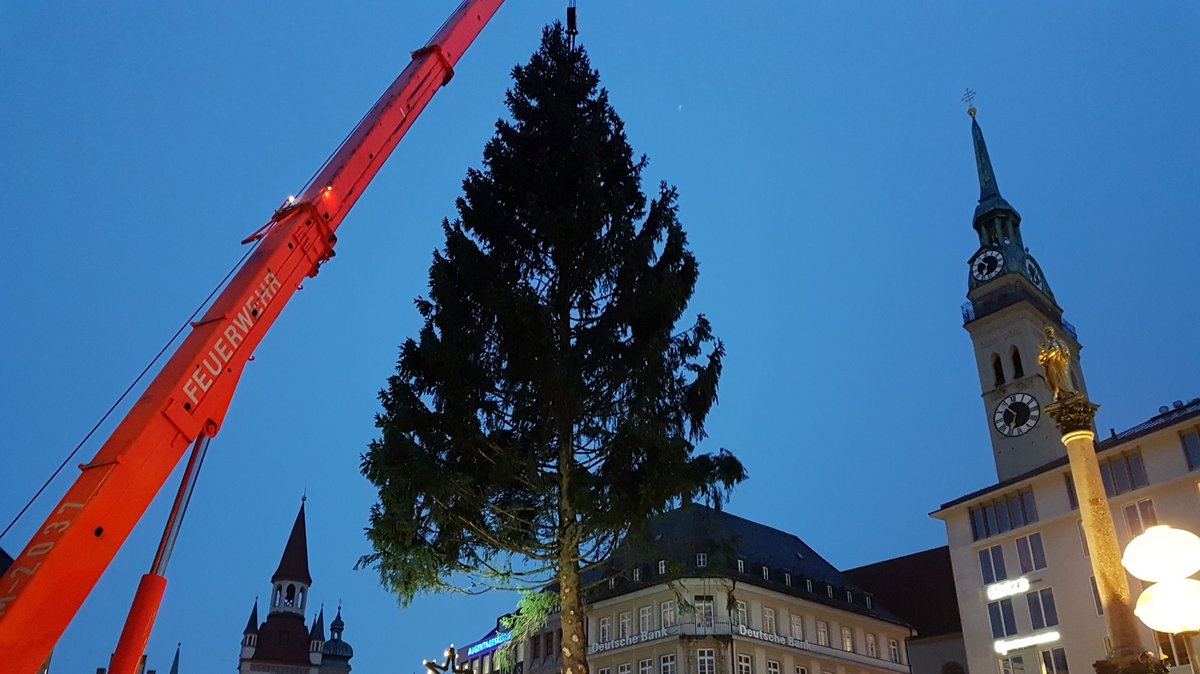 Kran stellt Christbaum 2019 auf dem Marienplatz in München auf