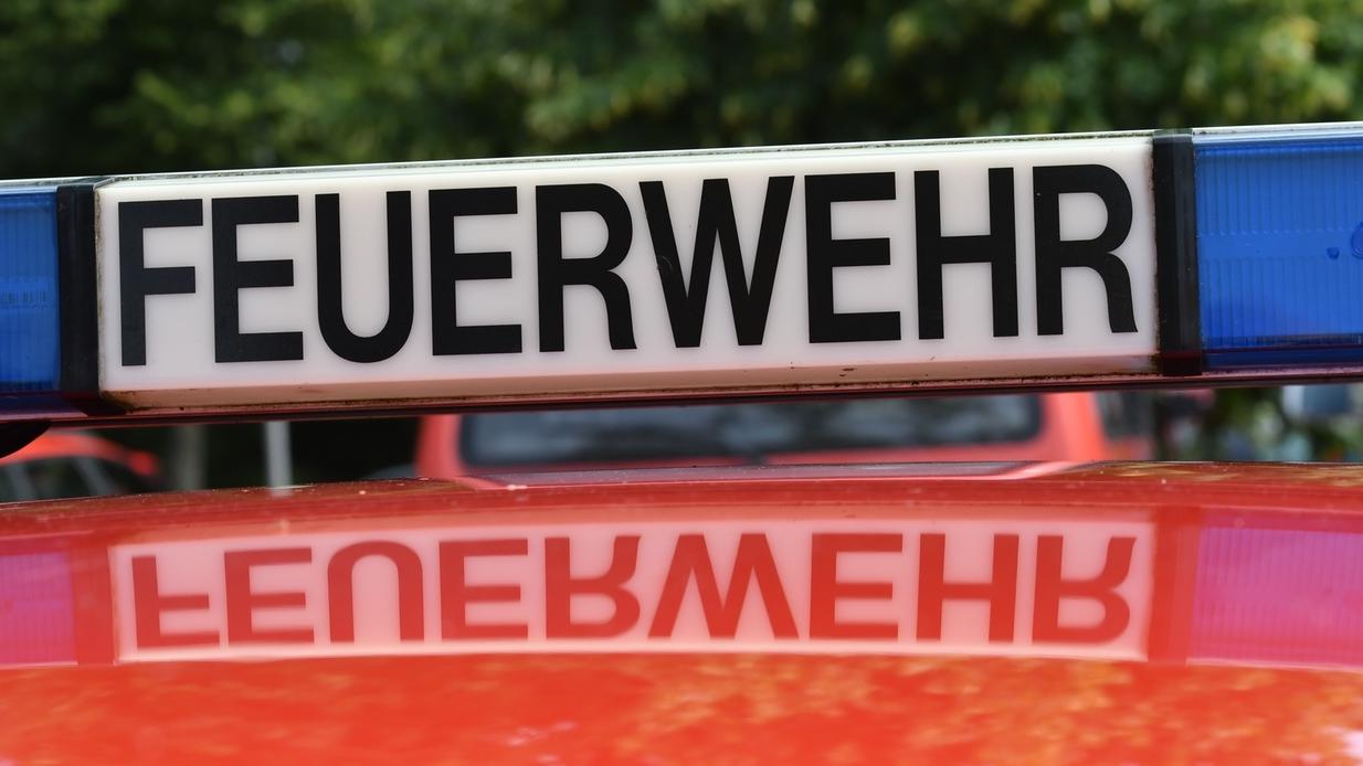 Mittelschule Dating-Seiten
