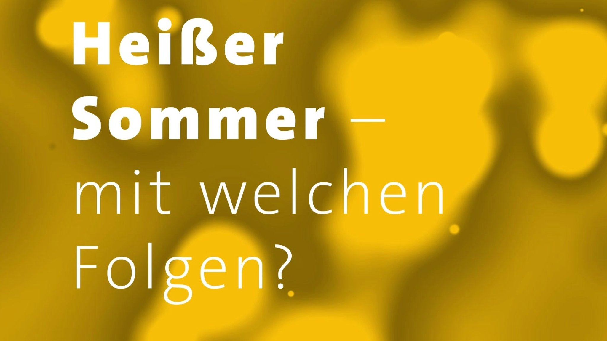 Heißer Sommer – mit welchen Folgen?