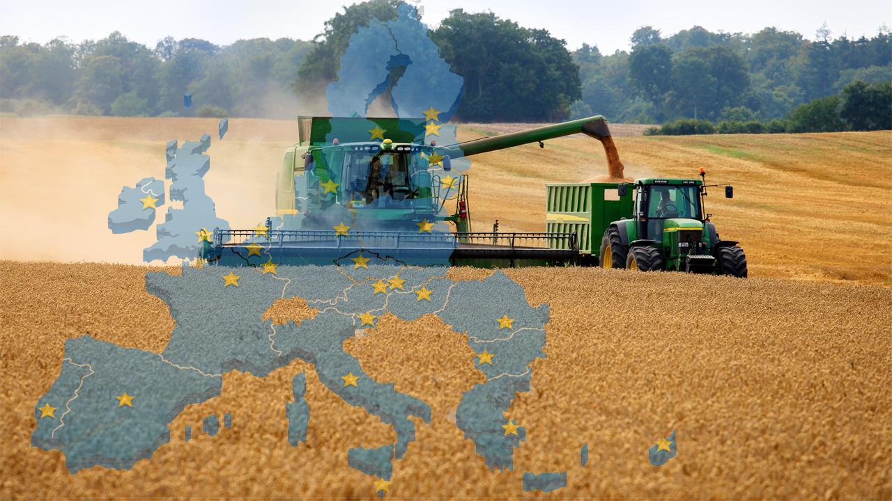 Bei der EU-Agrarpolitik geht es um viel Geld und immer wieder wird eine Neuorientierung gefordert