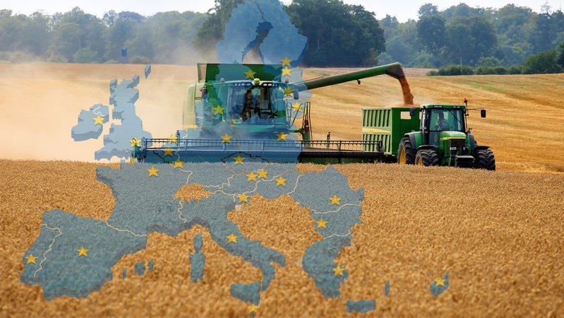 Bei der EU-Agrarpolitik geht es um viel Geld und immer wieder wird eine Neuorientierung gefordert
