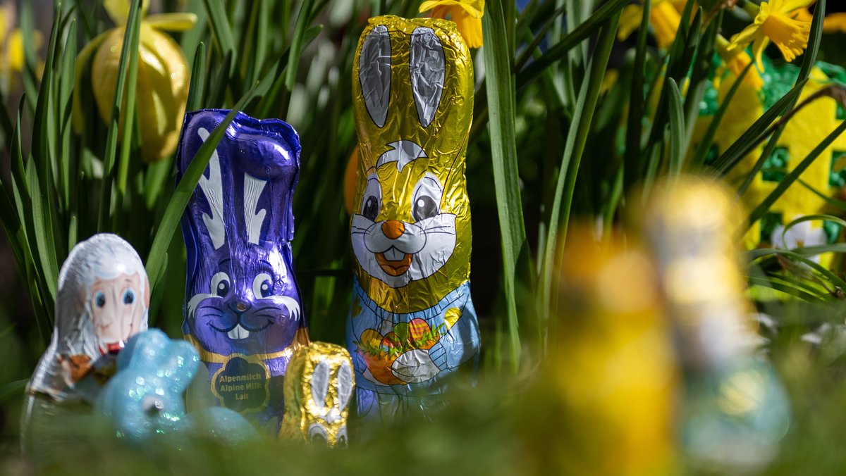 Teures Ostern: Warum Schokohasen so viel kosten
